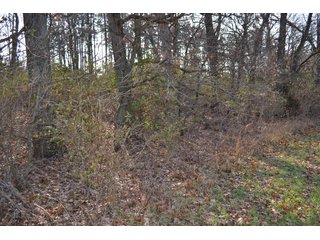 This property features a great mix of productive tillable land along with woods for hunting and recreation.  The woods have many mature oak trees, a grove of pines and some well groomed trails.  There is lots of deer activity on the property as well.  Also consider this beautiful setting for your country home!

<b>School District:</b>  North Newton School Corporation
<b>Elec. Source:</b>  NIPSCO
<b>Possession Date:</b> Upon closing subject to tenant rights for 2018.
<b>Owner:</b> Oak Creek Venture Land Trust dated 9/19/2014 and known as Trust #110-12-14 - 50+/- Acres - Cropland - Hunting/Recreational - Potential Building Site