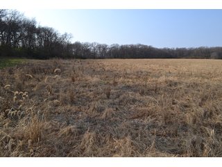 This property features a great mix of productive tillable land along with woods for hunting and recreation.  The woods have many mature oak trees, a grove of pines and some well groomed trails.  There is lots of deer activity on the property as well.  Also consider this beautiful setting for your country home!

<b>School District:</b>  North Newton School Corporation
<b>Elec. Source:</b>  NIPSCO
<b>Possession Date:</b> Upon closing subject to tenant rights for 2018.
<b>Owner:</b> Oak Creek Venture Land Trust dated 9/19/2014 and known as Trust #110-12-14 - 50+/- Acres - Cropland - Hunting/Recreational - Potential Building Site