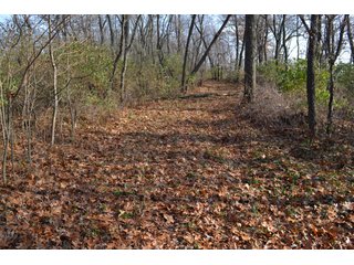 This property features a great mix of productive tillable land along with woods for hunting and recreation.  The woods have many mature oak trees, a grove of pines and some well groomed trails.  There is lots of deer activity on the property as well.  Also consider this beautiful setting for your country home!

<b>School District:</b>  North Newton School Corporation
<b>Elec. Source:</b>  NIPSCO
<b>Possession Date:</b> Upon closing subject to tenant rights for 2018.
<b>Owner:</b> Oak Creek Venture Land Trust dated 9/19/2014 and known as Trust #110-12-14 - 50+/- Acres - Cropland - Hunting/Recreational - Potential Building Site