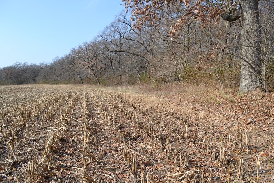 For sale: 50+/- Acres - Cropland - Hunting/Recreational - Potential Building Site - Newton County, IN - Southeast of Lake Village