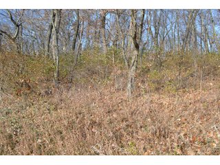 This property features a great mix of productive tillable land along with woods for hunting and recreation.  The woods have many mature oak trees, a grove of pines and some well groomed trails.  There is lots of deer activity on the property as well.  Also consider this beautiful setting for your country home!

<b>School District:</b>  North Newton School Corporation
<b>Elec. Source:</b>  NIPSCO
<b>Possession Date:</b> Upon closing subject to tenant rights for 2018.
<b>Owner:</b> Oak Creek Venture Land Trust dated 9/19/2014 and known as Trust #110-12-14 - 50+/- Acres - Cropland - Hunting/Recreational - Potential Building Site