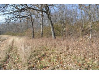 This property features a great mix of productive tillable land along with woods for hunting and recreation.  The woods have many mature oak trees, a grove of pines and some well groomed trails.  There is lots of deer activity on the property as well.  Also consider this beautiful setting for your country home!

<b>School District:</b>  North Newton School Corporation
<b>Elec. Source:</b>  NIPSCO
<b>Possession Date:</b> Upon closing subject to tenant rights for 2018.
<b>Owner:</b> Oak Creek Venture Land Trust dated 9/19/2014 and known as Trust #110-12-14 - 50+/- Acres - Cropland - Hunting/Recreational - Potential Building Site