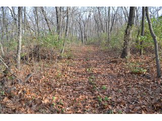 This property features a great mix of productive tillable land along with woods for hunting and recreation.  The woods have many mature oak trees, a grove of pines and some well groomed trails.  There is lots of deer activity on the property as well.  Also consider this beautiful setting for your country home!

<b>School District:</b>  North Newton School Corporation
<b>Elec. Source:</b>  NIPSCO
<b>Possession Date:</b> Upon closing subject to tenant rights for 2018.
<b>Owner:</b> Oak Creek Venture Land Trust dated 9/19/2014 and known as Trust #110-12-14 - 50+/- Acres - Cropland - Hunting/Recreational - Potential Building Site