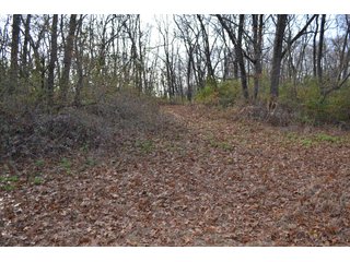 This property features a great mix of productive tillable land along with woods for hunting and recreation.  The woods have many mature oak trees, a grove of pines and some well groomed trails.  There is lots of deer activity on the property as well.  Also consider this beautiful setting for your country home!

<b>School District:</b>  North Newton School Corporation
<b>Elec. Source:</b>  NIPSCO
<b>Possession Date:</b> Upon closing subject to tenant rights for 2018.
<b>Owner:</b> Oak Creek Venture Land Trust dated 9/19/2014 and known as Trust #110-12-14 - 50+/- Acres - Cropland - Hunting/Recreational - Potential Building Site