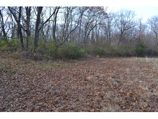 This property features a great mix of productive tillable land along with woods for hunting and recreation.  The woods have many mature oak trees, a grove of pines and some well groomed trails.  There is lots of deer activity on the property as well.  Also consider this beautiful setting for your country home!

<b>School District:</b>  North Newton School Corporation
<b>Elec. Source:</b>  NIPSCO
<b>Possession Date:</b> Upon closing subject to tenant rights for 2018.
<b>Owner:</b> Oak Creek Venture Land Trust dated 9/19/2014 and known as Trust #110-12-14 - 50+/- Acres - Cropland - Hunting/Recreational - Potential Building Site