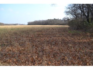 Property photo 3 - 50+/- Acres - Cropland - Hunting/Recreational - Potential Building Site