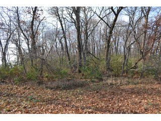 This property features a great mix of productive tillable land along with woods for hunting and recreation.  The woods have many mature oak trees, a grove of pines and some well groomed trails.  There is lots of deer activity on the property as well.  Also consider this beautiful setting for your country home!

<b>School District:</b>  North Newton School Corporation
<b>Elec. Source:</b>  NIPSCO
<b>Possession Date:</b> Upon closing subject to tenant rights for 2018.
<b>Owner:</b> Oak Creek Venture Land Trust dated 9/19/2014 and known as Trust #110-12-14 - 50+/- Acres - Cropland - Hunting/Recreational - Potential Building Site