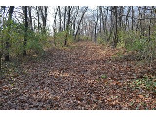 This property features a great mix of productive tillable land along with woods for hunting and recreation.  The woods have many mature oak trees, a grove of pines and some well groomed trails.  There is lots of deer activity on the property as well.  Also consider this beautiful setting for your country home!

<b>School District:</b>  North Newton School Corporation
<b>Elec. Source:</b>  NIPSCO
<b>Possession Date:</b> Upon closing subject to tenant rights for 2018.
<b>Owner:</b> Oak Creek Venture Land Trust dated 9/19/2014 and known as Trust #110-12-14 - 50+/- Acres - Cropland - Hunting/Recreational - Potential Building Site