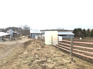 <b>40.65 Acres with 3 bedroom, one bath, 1500 sq. ft. home with full basement and pole barns.</b> 
 
Property is gently rolling and fully fenced.  

Don't miss this opportunity to buy this operating farm with good set of buildings.  Ready to go to work for you. - 40.65 Acres - Home & Pole Barns - Fully Fenced