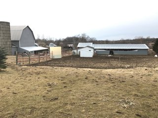 <b>40.65 Acres with 3 bedroom, one bath, 1500 sq. ft. home with full basement and pole barns.</b> 
 
Property is gently rolling and fully fenced.  

Don't miss this opportunity to buy this operating farm with good set of buildings.  Ready to go to work for you. - 40.65 Acres - Home & Pole Barns - Fully Fenced