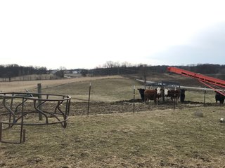 <b>40.65 Acres with 3 bedroom, one bath, 1500 sq. ft. home with full basement and pole barns.</b> 
 
Property is gently rolling and fully fenced.  

Don't miss this opportunity to buy this operating farm with good set of buildings.  Ready to go to work for you. - 40.65 Acres - Home & Pole Barns - Fully Fenced