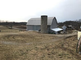 <b>40.65 Acres with 3 bedroom, one bath, 1500 sq. ft. home with full basement and pole barns.</b> 
 
Property is gently rolling and fully fenced.  

Don't miss this opportunity to buy this operating farm with good set of buildings.  Ready to go to work for you. - 40.65 Acres - Home & Pole Barns - Fully Fenced