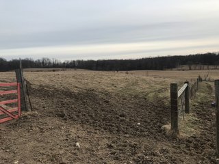 <b>40.65 Acres with 3 bedroom, one bath, 1500 sq. ft. home with full basement and pole barns.</b> 
 
Property is gently rolling and fully fenced.  

Don't miss this opportunity to buy this operating farm with good set of buildings.  Ready to go to work for you. - 40.65 Acres - Home & Pole Barns - Fully Fenced