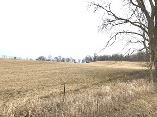 <b>40.65 Acres with 3 bedroom, one bath, 1500 sq. ft. home with full basement and pole barns.</b> 
 
Property is gently rolling and fully fenced.  

Don't miss this opportunity to buy this operating farm with good set of buildings.  Ready to go to work for you. - 40.65 Acres - Home & Pole Barns - Fully Fenced