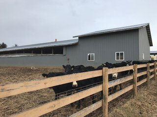 <b>40.65 Acres with 3 bedroom, one bath, 1500 sq. ft. home with full basement and pole barns.</b> 
 
Property is gently rolling and fully fenced.  

Don't miss this opportunity to buy this operating farm with good set of buildings.  Ready to go to work for you. - 40.65 Acres - Home & Pole Barns - Fully Fenced