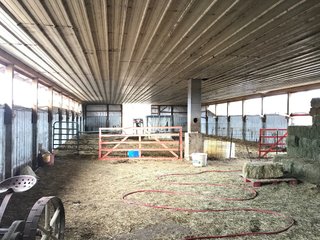 <b>40.65 Acres with 3 bedroom, one bath, 1500 sq. ft. home with full basement and pole barns.</b> 
 
Property is gently rolling and fully fenced.  

Don't miss this opportunity to buy this operating farm with good set of buildings.  Ready to go to work for you. - 40.65 Acres - Home & Pole Barns - Fully Fenced