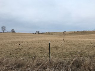 <b>40.65 Acres with 3 bedroom, one bath, 1500 sq. ft. home with full basement and pole barns.</b> 
 
Property is gently rolling and fully fenced.  

Don't miss this opportunity to buy this operating farm with good set of buildings.  Ready to go to work for you. - 40.65 Acres - Home & Pole Barns - Fully Fenced