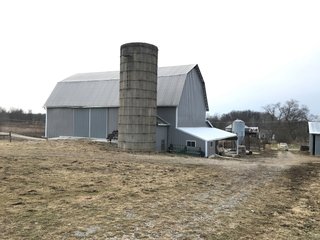 <b>40.65 Acres with 3 bedroom, one bath, 1500 sq. ft. home with full basement and pole barns.</b> 
 
Property is gently rolling and fully fenced.  

Don't miss this opportunity to buy this operating farm with good set of buildings.  Ready to go to work for you. - 40.65 Acres - Home & Pole Barns - Fully Fenced