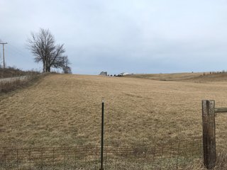 <b>40.65 Acres with 3 bedroom, one bath, 1500 sq. ft. home with full basement and pole barns.</b> 
 
Property is gently rolling and fully fenced.  

Don't miss this opportunity to buy this operating farm with good set of buildings.  Ready to go to work for you. - 40.65 Acres - Home & Pole Barns - Fully Fenced