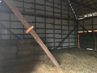 <b>40.65 Acres with 3 bedroom, one bath, 1500 sq. ft. home with full basement and pole barns.</b> 
 
Property is gently rolling and fully fenced.  

Don't miss this opportunity to buy this operating farm with good set of buildings.  Ready to go to work for you. - 40.65 Acres - Home & Pole Barns - Fully Fenced