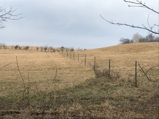 <b>40.65 Acres with 3 bedroom, one bath, 1500 sq. ft. home with full basement and pole barns.</b> 
 
Property is gently rolling and fully fenced.  

Don't miss this opportunity to buy this operating farm with good set of buildings.  Ready to go to work for you. - 40.65 Acres - Home & Pole Barns - Fully Fenced
