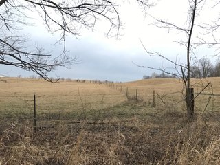 <b>40.65 Acres with 3 bedroom, one bath, 1500 sq. ft. home with full basement and pole barns.</b> 
 
Property is gently rolling and fully fenced.  

Don't miss this opportunity to buy this operating farm with good set of buildings.  Ready to go to work for you. - 40.65 Acres - Home & Pole Barns - Fully Fenced