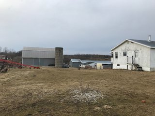 <b>40.65 Acres with 3 bedroom, one bath, 1500 sq. ft. home with full basement and pole barns.</b> 
 
Property is gently rolling and fully fenced.  

Don't miss this opportunity to buy this operating farm with good set of buildings.  Ready to go to work for you. - 40.65 Acres - Home & Pole Barns - Fully Fenced