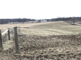 <b>40.65 Acres with 3 bedroom, one bath, 1500 sq. ft. home with full basement and pole barns.</b> 
 
Property is gently rolling and fully fenced.  

Don't miss this opportunity to buy this operating farm with good set of buildings.  Ready to go to work for you. - 40.65 Acres - Home & Pole Barns - Fully Fenced