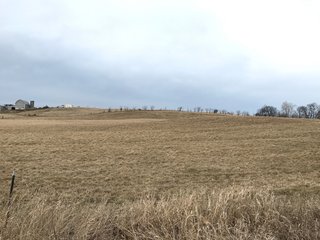 <b>40.65 Acres with 3 bedroom, one bath, 1500 sq. ft. home with full basement and pole barns.</b> 
 
Property is gently rolling and fully fenced.  

Don't miss this opportunity to buy this operating farm with good set of buildings.  Ready to go to work for you. - 40.65 Acres - Home & Pole Barns - Fully Fenced