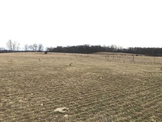 <b>40.65 Acres with 3 bedroom, one bath, 1500 sq. ft. home with full basement and pole barns.</b> 
 
Property is gently rolling and fully fenced.  

Don't miss this opportunity to buy this operating farm with good set of buildings.  Ready to go to work for you. - 40.65 Acres - Home & Pole Barns - Fully Fenced