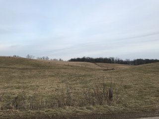 <b>40.65 Acres with 3 bedroom, one bath, 1500 sq. ft. home with full basement and pole barns.</b> 
 
Property is gently rolling and fully fenced.  

Don't miss this opportunity to buy this operating farm with good set of buildings.  Ready to go to work for you. - 40.65 Acres - Home & Pole Barns - Fully Fenced