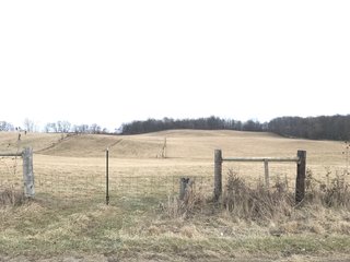 <b>40.65 Acres with 3 bedroom, one bath, 1500 sq. ft. home with full basement and pole barns.</b> 
 
Property is gently rolling and fully fenced.  

Don't miss this opportunity to buy this operating farm with good set of buildings.  Ready to go to work for you. - 40.65 Acres - Home & Pole Barns - Fully Fenced
