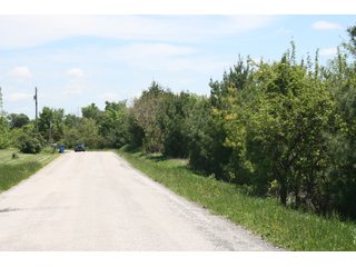 27.3+/- Total Acres.  Whitley County - Smith Township

Some of the property is enrolled in conservation reserve program.  CRP payments are available.

Churubusco High School - Building Sites/Recreation