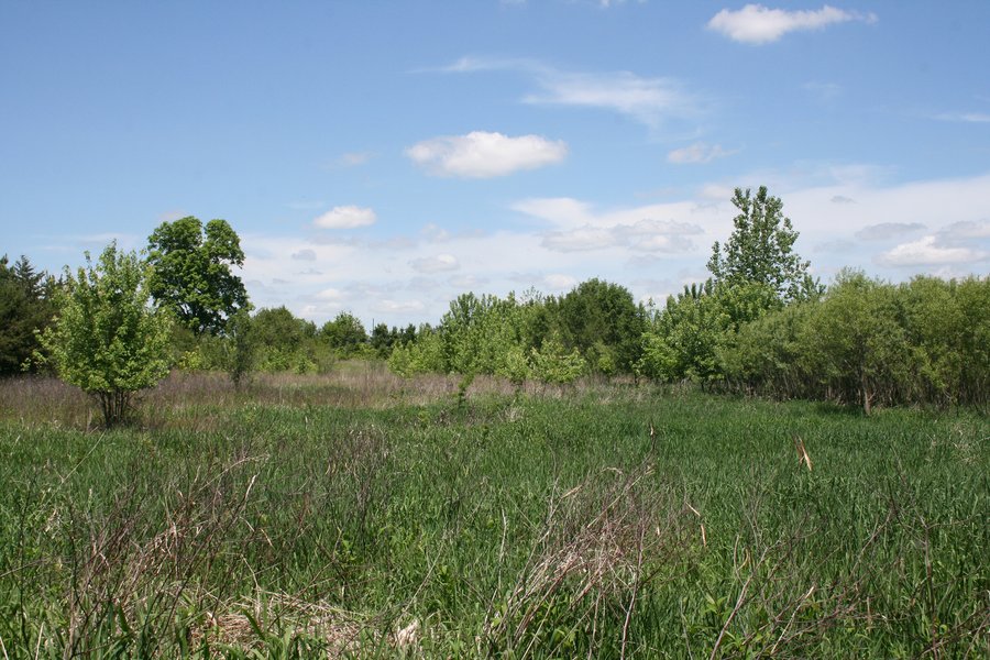 For sale: Building Sites/Recreation - Between Columbia City and Churubusco, IN