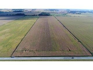 40 Acres all tillable prime farmland.  This is a very nice, high quality farm.  Small tree line in southern boundary line. - 40 Acres All Tillable Prime Farmland - Clinton County, IN