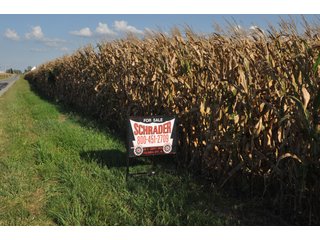 40 Acres all tillable prime farmland.  This is a very nice, high quality farm.  Small tree line in southern boundary line. - 40 Acres All Tillable Prime Farmland - Clinton County, IN