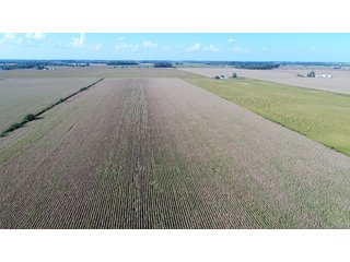 40 Acres all tillable prime farmland.  This is a very nice, high quality farm.  Small tree line in southern boundary line. - 40 Acres All Tillable Prime Farmland - Clinton County, IN