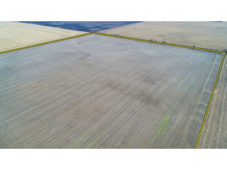 This is an all tillable productive farm in Clinton County, Indiana, just west of Frankfort.  The farm has good road frontage along 400 S and 450 W.  Large tile on the east side of farm.  Farm is open for 2019 if sold prior to planting the 2019 crop.  A new survey will need to be completed to remove acres from tax parcel that currently has improvements and pasture.
<b>Oil/Mineral Rights:</b>  Assumed by Buyer
<b>Fencing:</b>  Very little to none.
<b>Schools:</b>  Clinton Prairie
<b>Electric Source:</b>  Duke Energy - 90 Acre All Tillable Farmland
