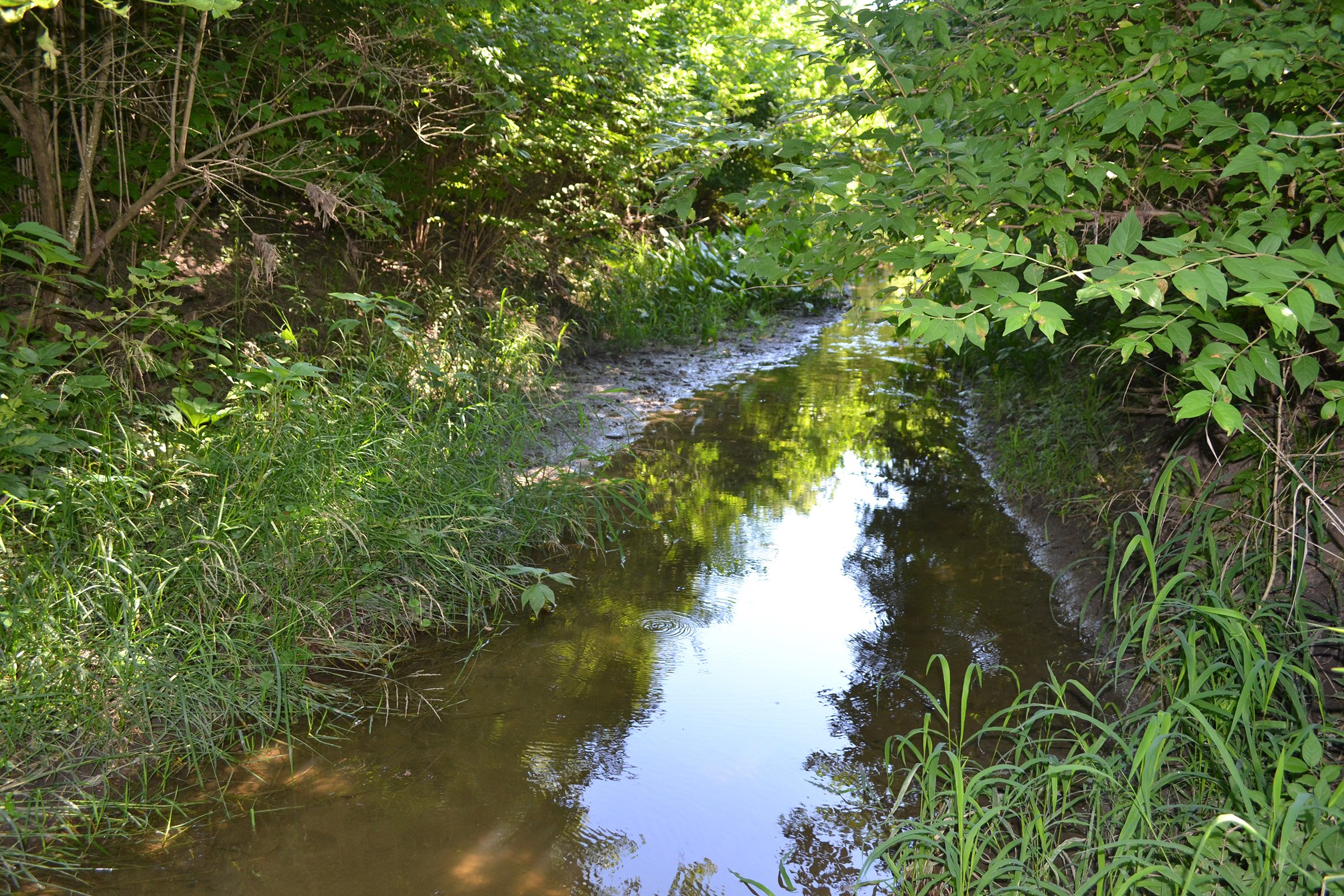 Property photo 5 - REAL ESTATE AUCTION - 82.62+/- ACRES IN 1 TRACT IN LAKE COUNTY, INDIANA