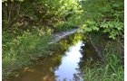Property photo 5 - REAL ESTATE AUCTION - 82.62+/- ACRES IN 1 TRACT IN LAKE COUNTY, INDIANA