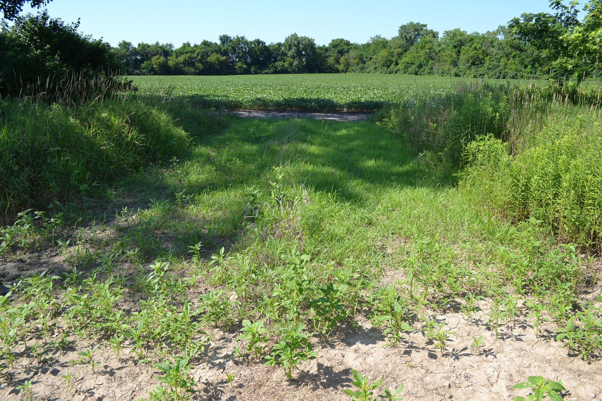 Property photo 17 - REAL ESTATE AUCTION - 82.62+/- ACRES IN 1 TRACT IN LAKE COUNTY, INDIANA
