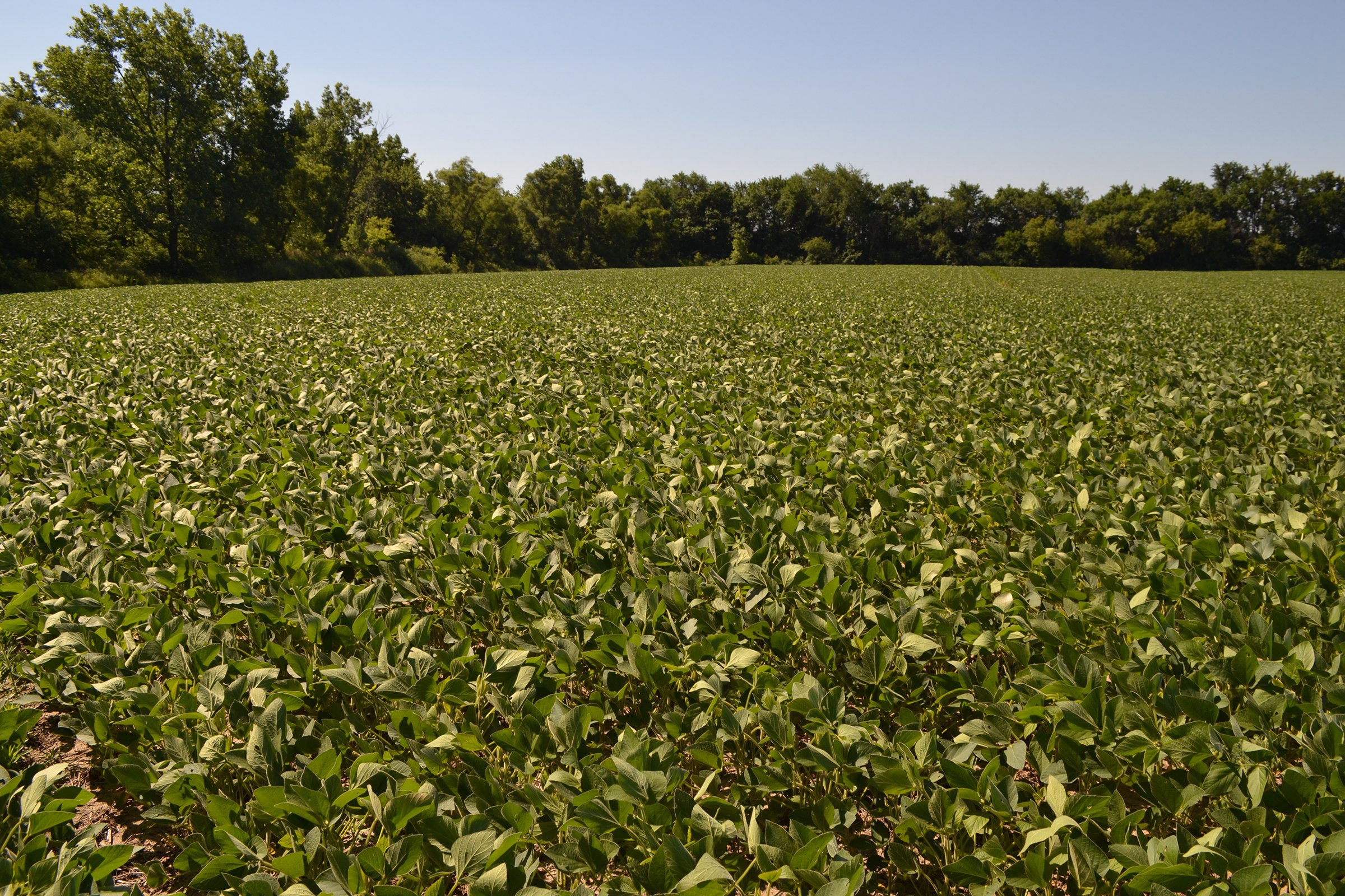 Property photo 3 - REAL ESTATE AUCTION - 82.62+/- ACRES IN 1 TRACT IN LAKE COUNTY, INDIANA