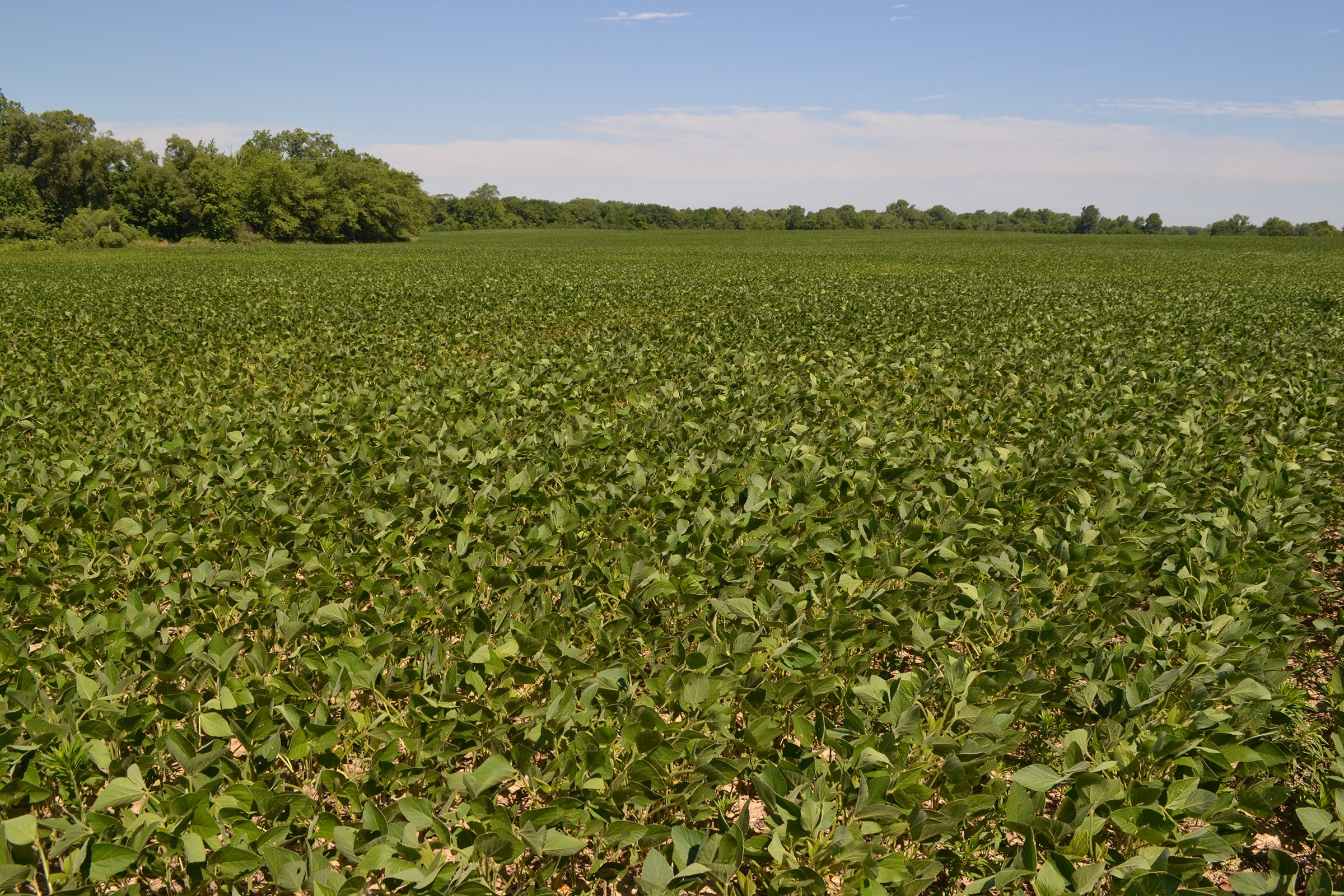 Property photo 2 - REAL ESTATE AUCTION - 82.62+/- ACRES IN 1 TRACT IN LAKE COUNTY, INDIANA