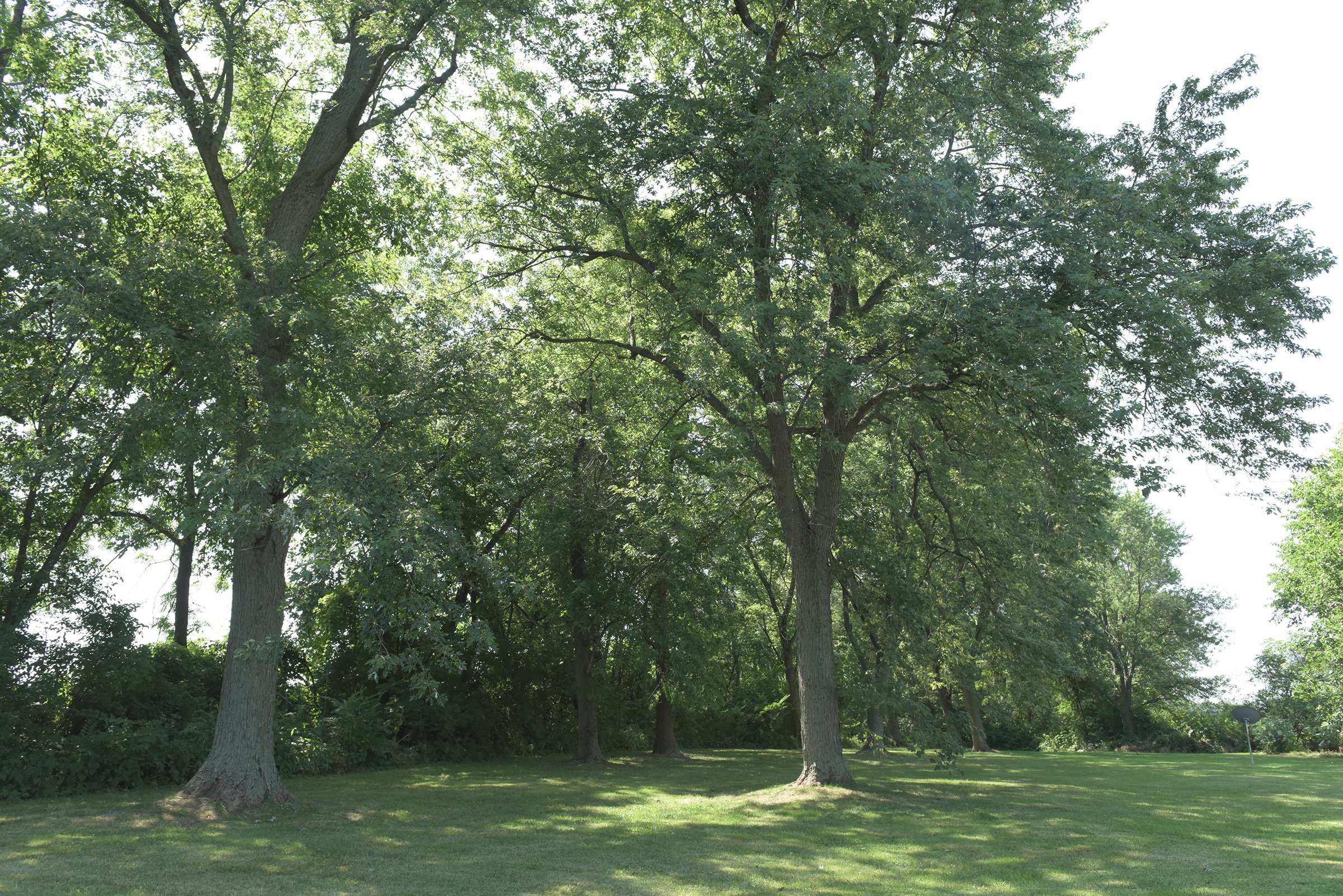 Property photo 28 - REAL ESTATE AUCTION - 82.62+/- ACRES IN 1 TRACT IN LAKE COUNTY, INDIANA