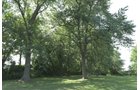 Property photo 28 - REAL ESTATE AUCTION - 82.62+/- ACRES IN 1 TRACT IN LAKE COUNTY, INDIANA