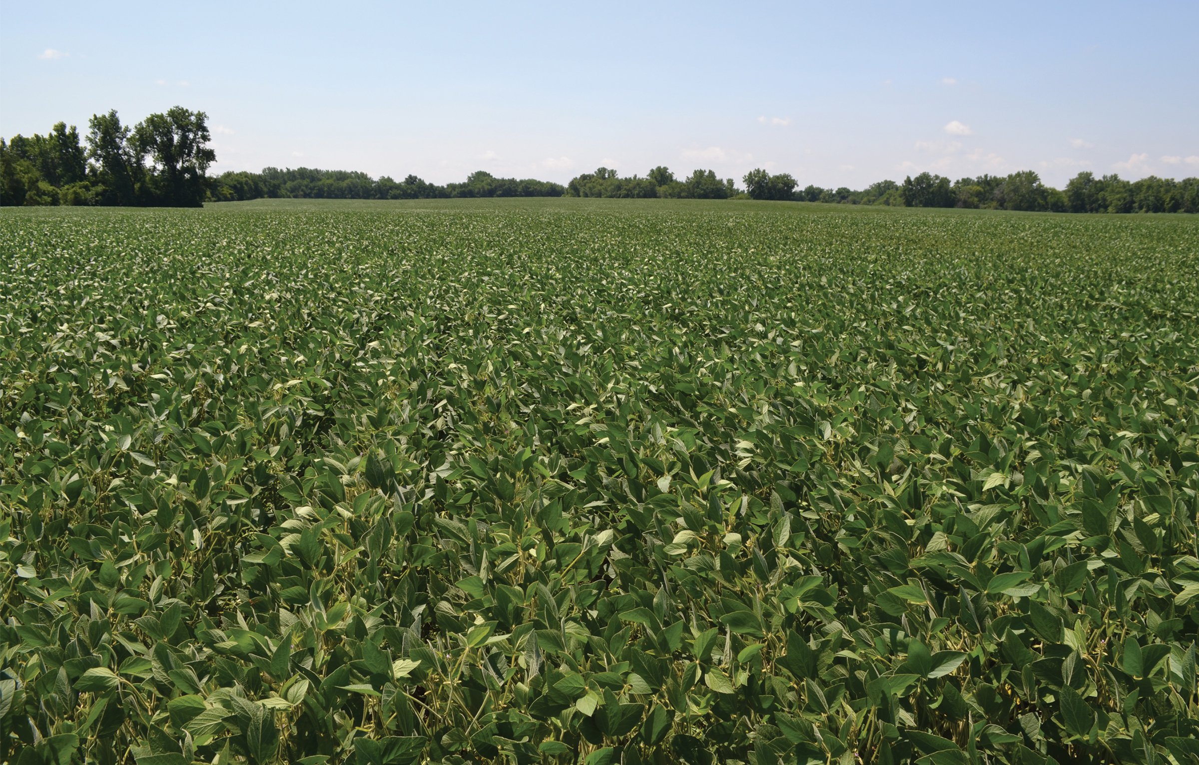 Property photo 1 - REAL ESTATE AUCTION - 82.62+/- ACRES IN 1 TRACT IN LAKE COUNTY, INDIANA