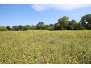 TRACT 2 - SIGNIFICANT LAND & PRODUCING MINERALS AUCTION - 237 +/- SURFACE ACRES IN 4 TRACTS - 18 MINERAL PACKAGES IN GARVIN, MCCLAIN, GRADY & ROGER MILLS COUNTIES, OK - 6 Mo. AVG. CASH FLOW of $196,376/Mo.