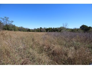 TRACT 3 - SIGNIFICANT LAND & PRODUCING MINERALS AUCTION - 237 +/- SURFACE ACRES IN 4 TRACTS - 18 MINERAL PACKAGES IN GARVIN, MCCLAIN, GRADY & ROGER MILLS COUNTIES, OK - 6 Mo. AVG. CASH FLOW of $196,376/Mo.
