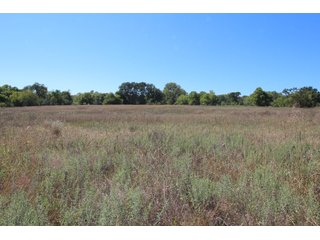 TRACT 4 - SIGNIFICANT LAND & PRODUCING MINERALS AUCTION - 237 +/- SURFACE ACRES IN 4 TRACTS - 18 MINERAL PACKAGES IN GARVIN, MCCLAIN, GRADY & ROGER MILLS COUNTIES, OK - 6 Mo. AVG. CASH FLOW of $196,376/Mo.