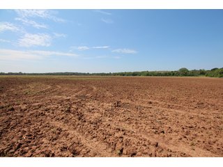 TRACT 4 - SIGNIFICANT LAND & PRODUCING MINERALS AUCTION - 237 +/- SURFACE ACRES IN 4 TRACTS - 18 MINERAL PACKAGES IN GARVIN, MCCLAIN, GRADY & ROGER MILLS COUNTIES, OK - 6 Mo. AVG. CASH FLOW of $196,376/Mo.